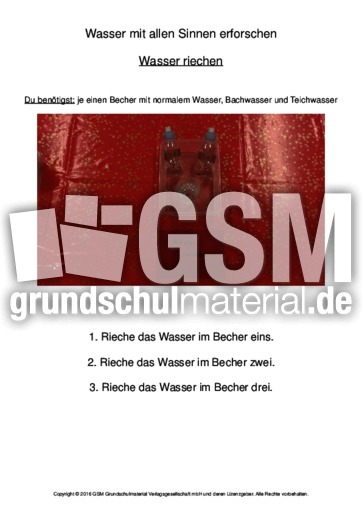 Wasser mit allen Sinnen erforschen 003-Layout 1.pdf